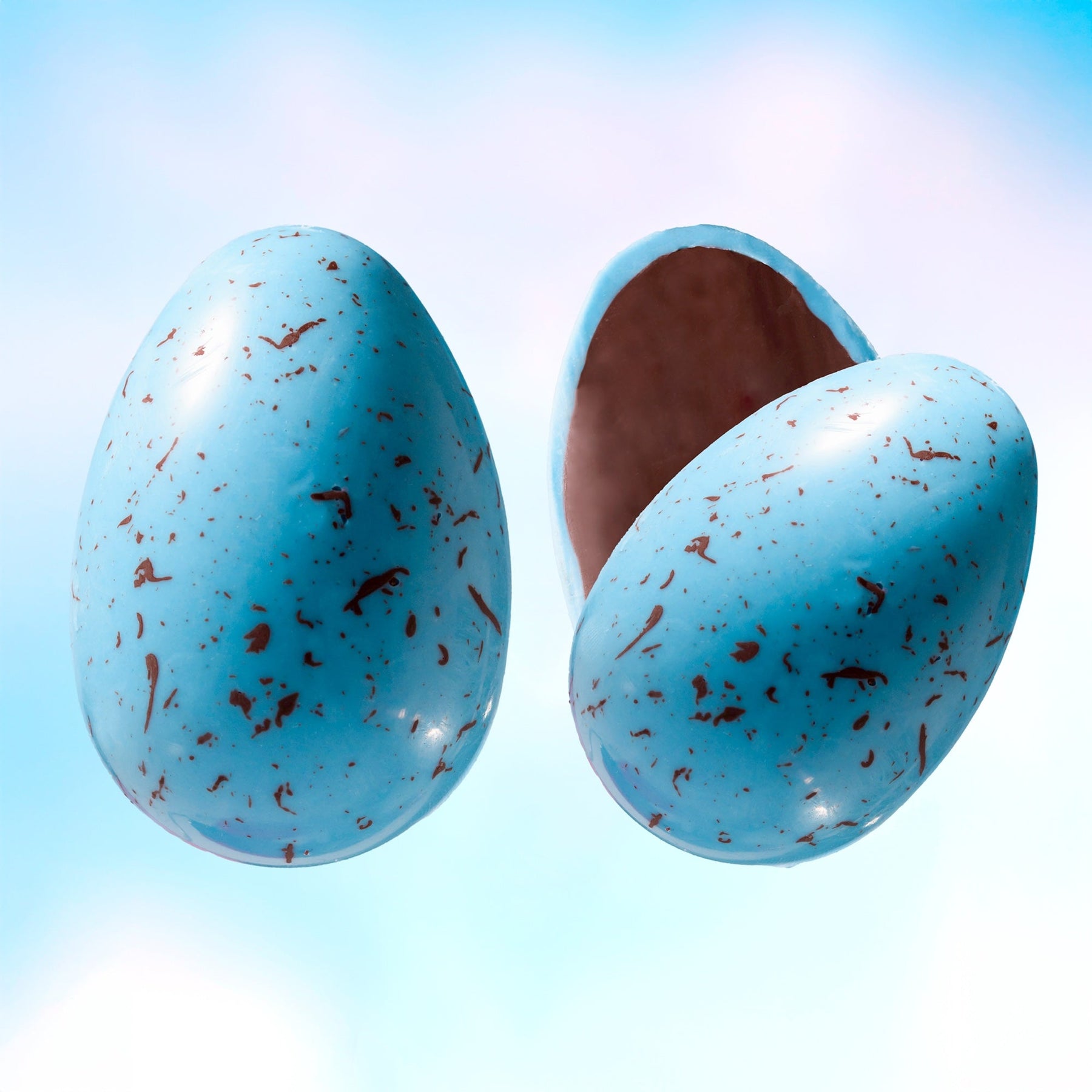 Robin's Egg - Honest Pantry Egg Selection